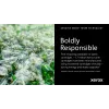 Xerox Genuine ® C310 Impressora a cores/C315 Multifuncional a cores cartucho de toner ciano de capacidade padrão (2000 páginas) - 006R04357