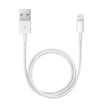 Cabo APPLE Lightning para USB (0,5 m)