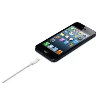 Cabo APPLE Lightning para USB (0,5 m)