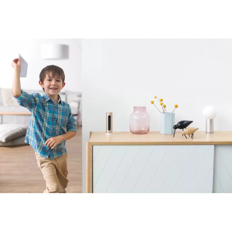 Netatmo Welcome Câmara de segurança IP interior 1920 x 1080 Pixel de mesa