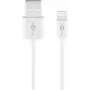 Cabo de carregamento e sincronização Lightning USB Goobay 2 m Lightning USB A