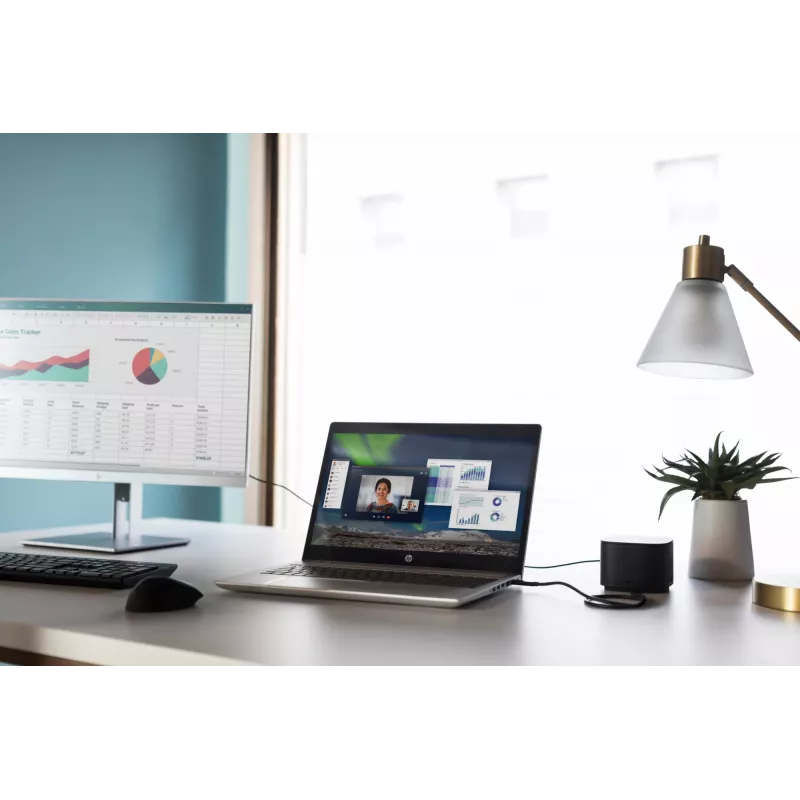 Rato com leitor de impressões digitais HP, para ambas as mãos, USB Type-A, preto