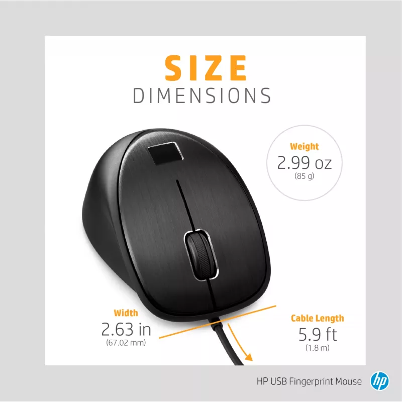 Rato com leitor de impressões digitais HP, para ambas as mãos, USB Type-A, preto