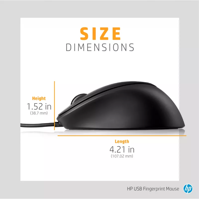 Rato com leitor de impressões digitais HP, para ambas as mãos, USB Type-A, preto