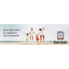 Cartão de memória WESTERN DIGITAL SanDisk Ultra 32GB SDHC Class 10 UHS-I 120MB/s (SDSDUN4-032G-GN6IN)