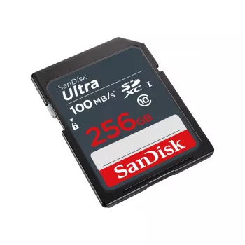 Memória flash SanDisk 256 GB SDXC UHS-I Class 10 SDSDUNR-256G-GN3IN