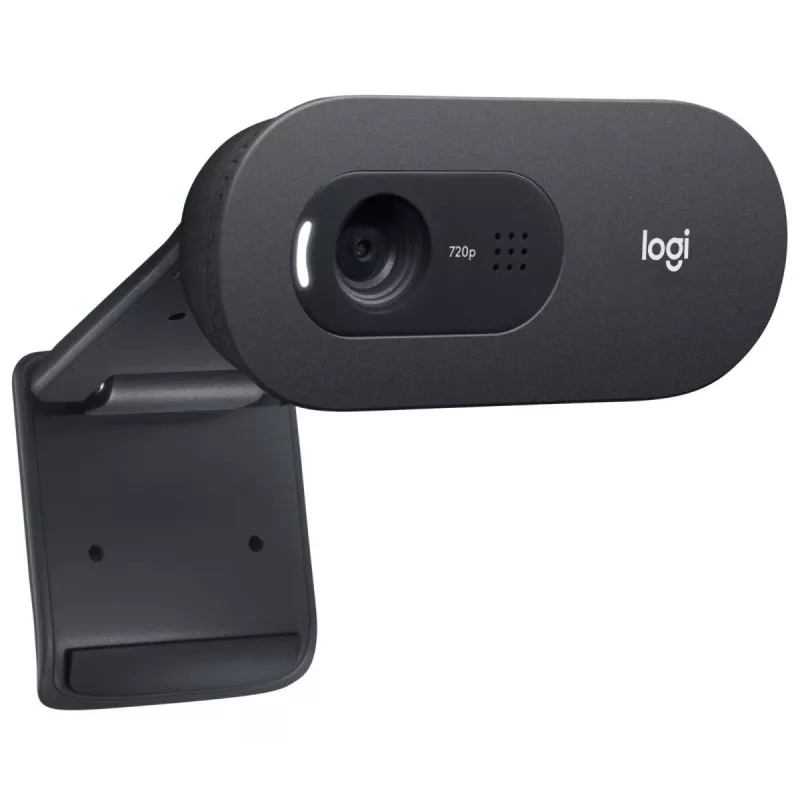 Webcam LOGITECH C505 Hd preto