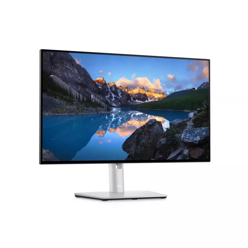 Monitor DELL UltraSharp 24 U2422H 23,8 polegadas Full HD LCD 1920x1080