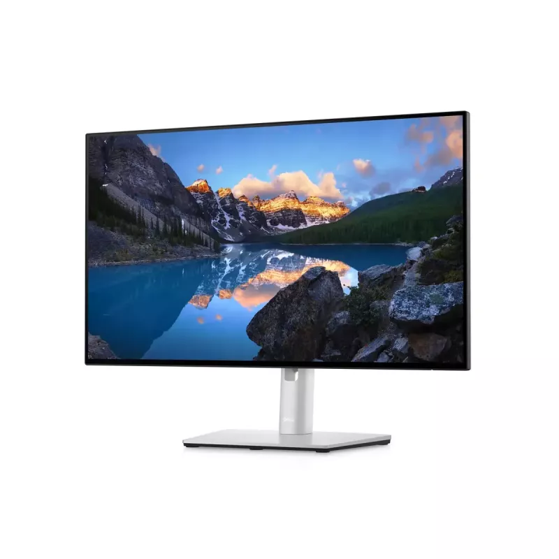 Monitor DELL UltraSharp 24 U2422H 23,8 polegadas Full HD LCD 1920x1080