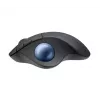 Rato Logitech ERGO M575 para empresas RF Wireless + Bluetooth