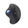 Rato Logitech ERGO M575 para empresas RF Wireless + Bluetooth