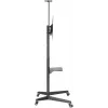 Suporte de TV Goobay TV Presentation Stand Pro Size L 50 kg 37 a 70 polegadas