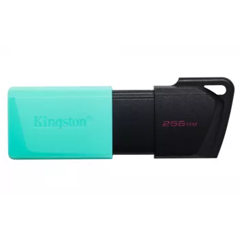 Kingston Technology DataTraveler 256GB USB3.2 Gen1 Exodia M (preto + turquesa)