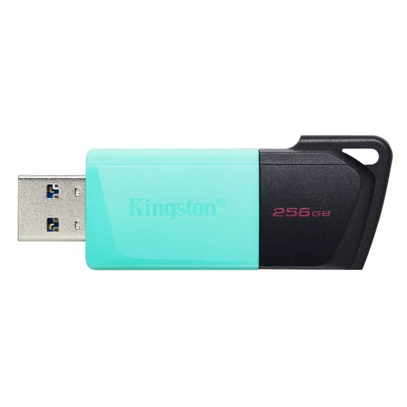 Kingston Technology DataTraveler 256GB USB3.2 Gen1 Exodia M (preto + turquesa)