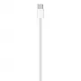 Cabo de carregamento USB-C APPLE (1 m)