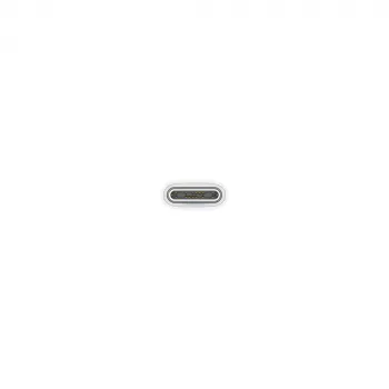 Cabo de carregamento USB-C APPLE (1 m)