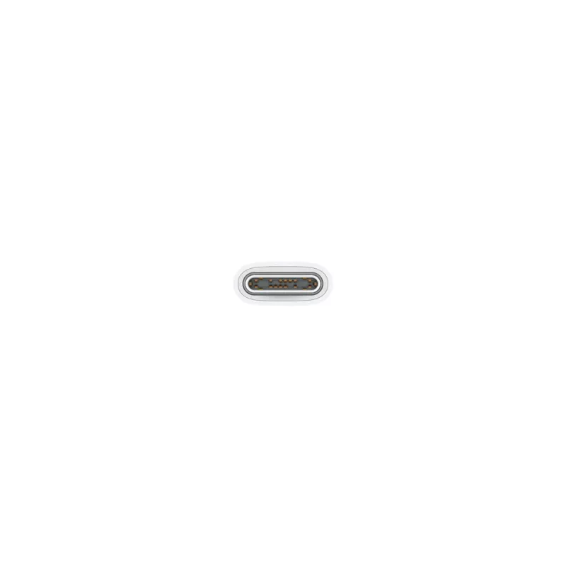 Cabo de carregamento USB-C APPLE (1 m)