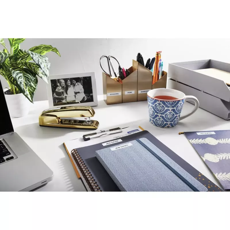 Impressora de etiquetas DYMO LabelManager 160 QWERTZ