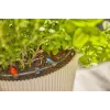 Sistema de rega gota a gota Gardena 13400-20 comprimento da mangueira 15 m preto verde