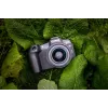 Canon EOS R8 + RF 24-50mm F4.5-6.3 IS STM Kit, 24.2 MP, 6000 x 4000 Pixel, CMOS, 4K Ultra HD, Ecrã tátil, Preto