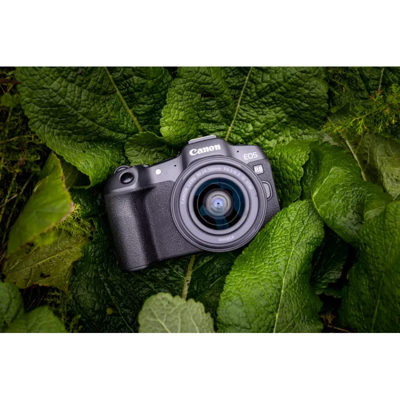 Canon EOS R8 + RF 24-50mm F4.5-6.3 IS STM Kit, 24.2 MP, 6000 x 4000 Pixel, CMOS, 4K Ultra HD, Ecrã tátil, Preto