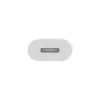 Adaptador APPLE Lightning – ficha USB-C de 24 pinos para conector fêmea Lightning