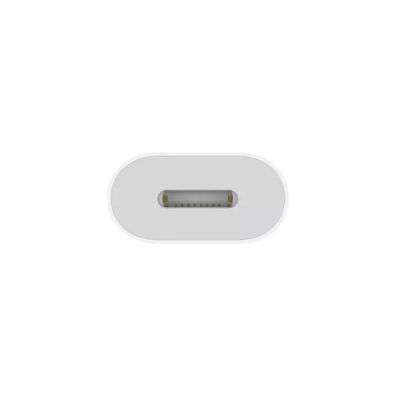 Adaptador APPLE Lightning – ficha USB-C de 24 pinos para conector fêmea Lightning