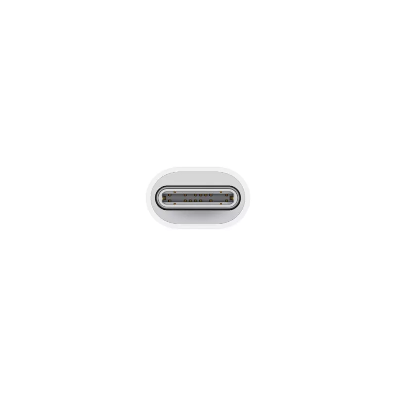 Adaptador APPLE Lightning – ficha USB-C de 24 pinos para conector fêmea Lightning
