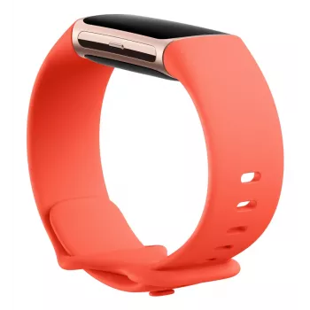 FITBIT Fitbit Charge 6 Obsidian / Preto Alumínio
