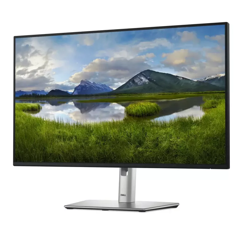 Monitor Dell P2725H IPS LCD de 27 polegadas — Full HD 1920x1080, 100 Hz, 8 ms, 300 cd/m², hub USB 3.2, HDMI, VESA, altura ajustável, preto