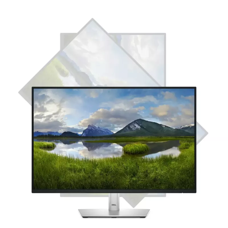 Monitor de computador DELL Pro Plus P2425 61,1 cm (24,1 polegadas) 1920 x 1200 píxeis WUXGA LCD preto