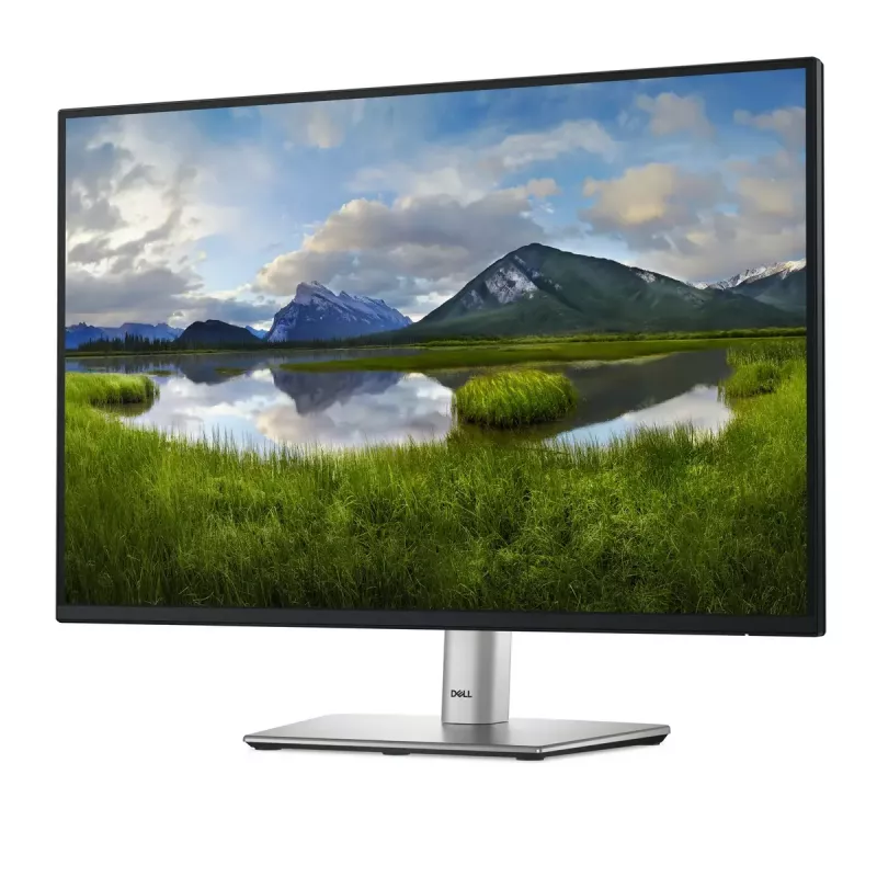 Monitor de computador DELL Pro Plus P2425 61,1 cm (24,1 polegadas) 1920 x 1200 píxeis WUXGA LCD preto
