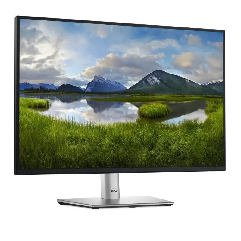 Monitor de computador DELL Pro Plus P2425 61,1 cm (24,1 polegadas) 1920 x 1200 píxeis WUXGA LCD preto