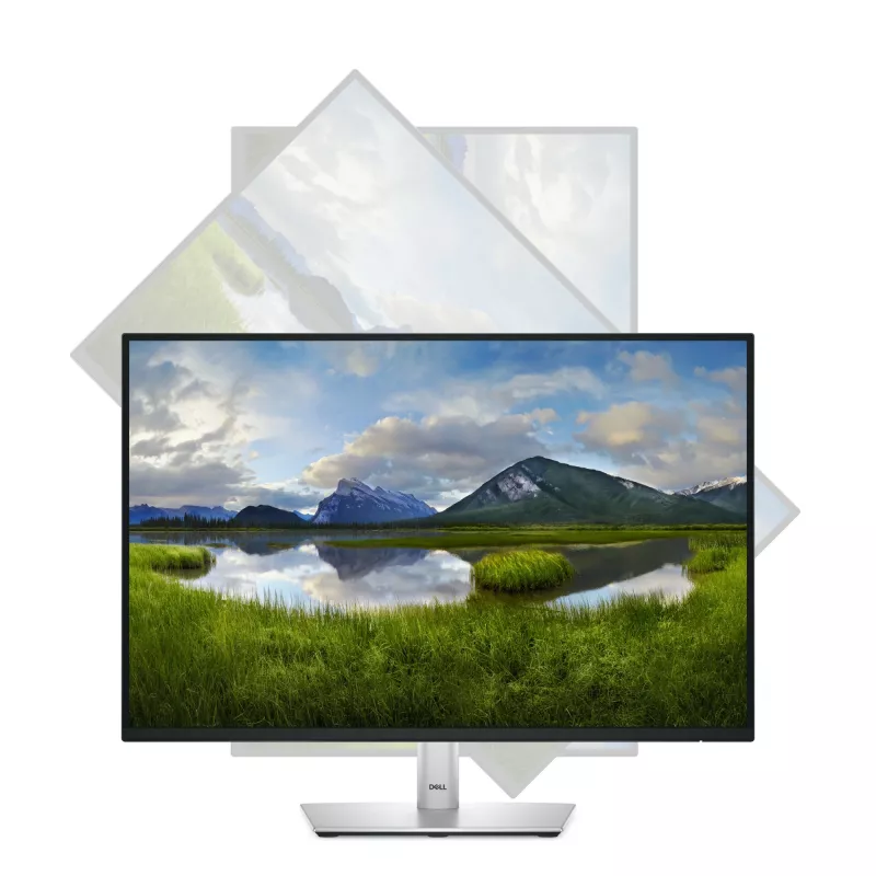 Monitor de computador DELL Pro Plus P2425E 61,1 cm (24,1 polegadas) 1920 x 1200 píxeis WUXGA LCD preto