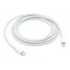 Cabo APPLE USB-C para Lightning 2 M