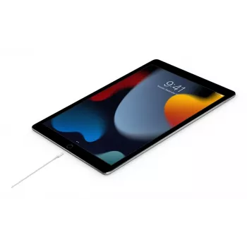 Cabo APPLE USB-C para Lightning 2 M