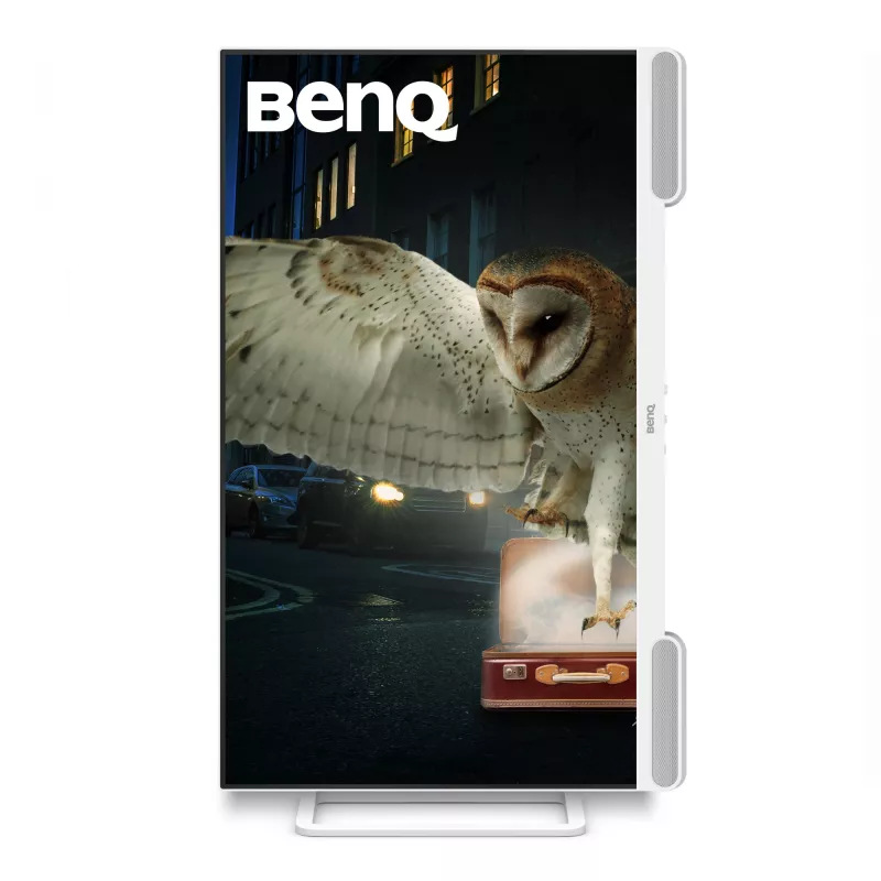 Monitor de computador BenQ EW3290U 79,2 cm (31,2