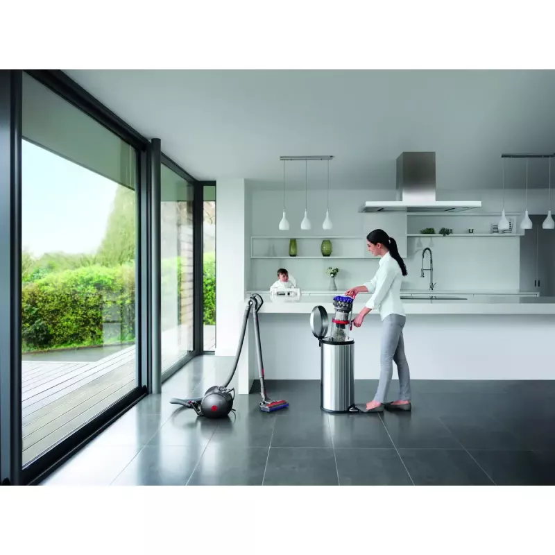 Aspirador de pó Dyson Big ball Parquet 2