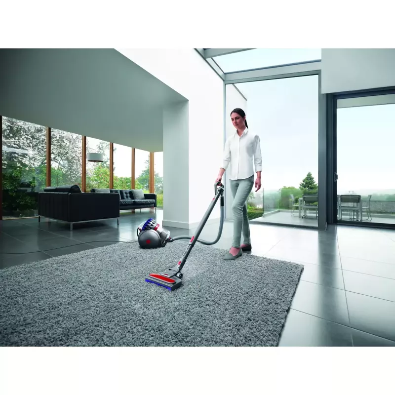 Aspirador de pó Dyson Big ball Parquet 2