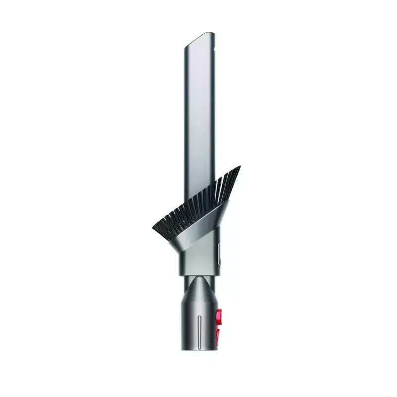 Aspirador de pó Dyson Big ball Parquet 2
