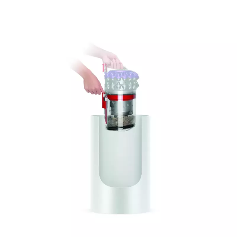 Aspirador de pó Dyson Big ball Parquet 2