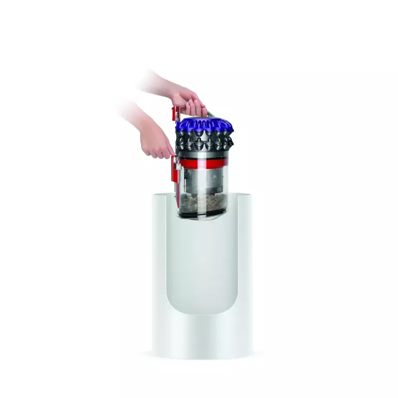 Aspirador de pó Dyson Big ball Parquet 2