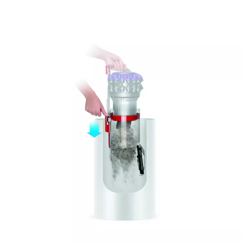 Aspirador de pó Dyson Big ball Parquet 2
