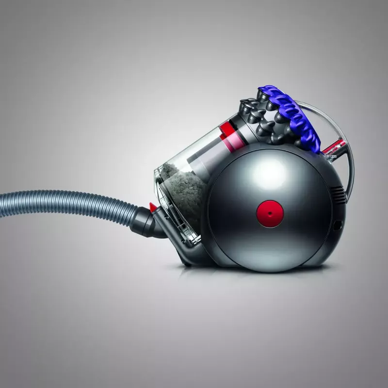Aspirador de pó Dyson Big ball Parquet 2