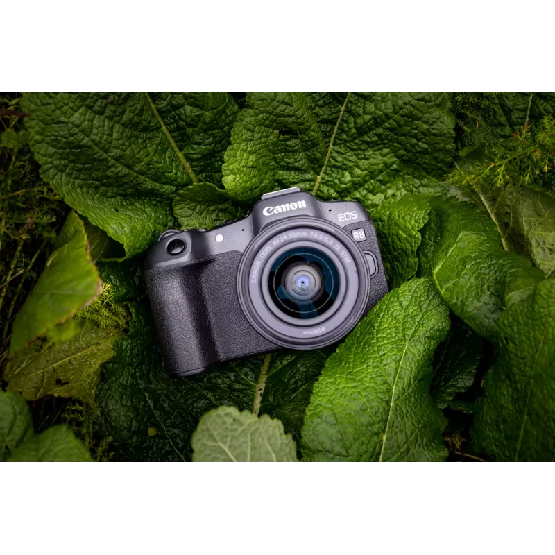 Canon EOS R8, 24,2 MP, 6000 x 4000 píxeis, CMOS, 4K Ultra HD, ecrã tátil, preto