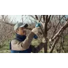 Tesoura de relva sem fios Bosch Pro Pruner Professional 2,5 cm 12 V iões de lítio (Li-Ion) azul