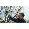 Tesoura de relva sem fios Bosch Pro Pruner Professional 2,5 cm 12 V iões de lítio (Li-Ion) azul