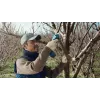 Tesoura de relva sem fios Bosch Pro Pruner Professional 2,5 cm 12 V iões de lítio (Li-Ion) azul