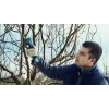 Tesoura de relva sem fios Bosch Pro Pruner Professional 2,5 cm 12 V iões de lítio (Li-Ion) azul