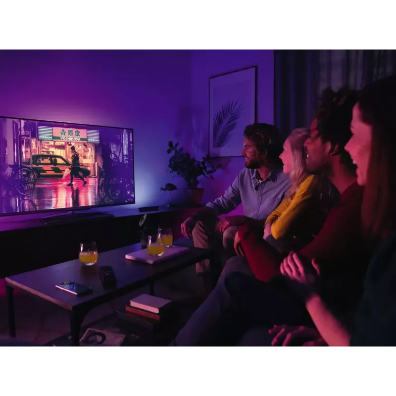 Philips Hue White and Colour Ambience Play Light Bar pack duplo